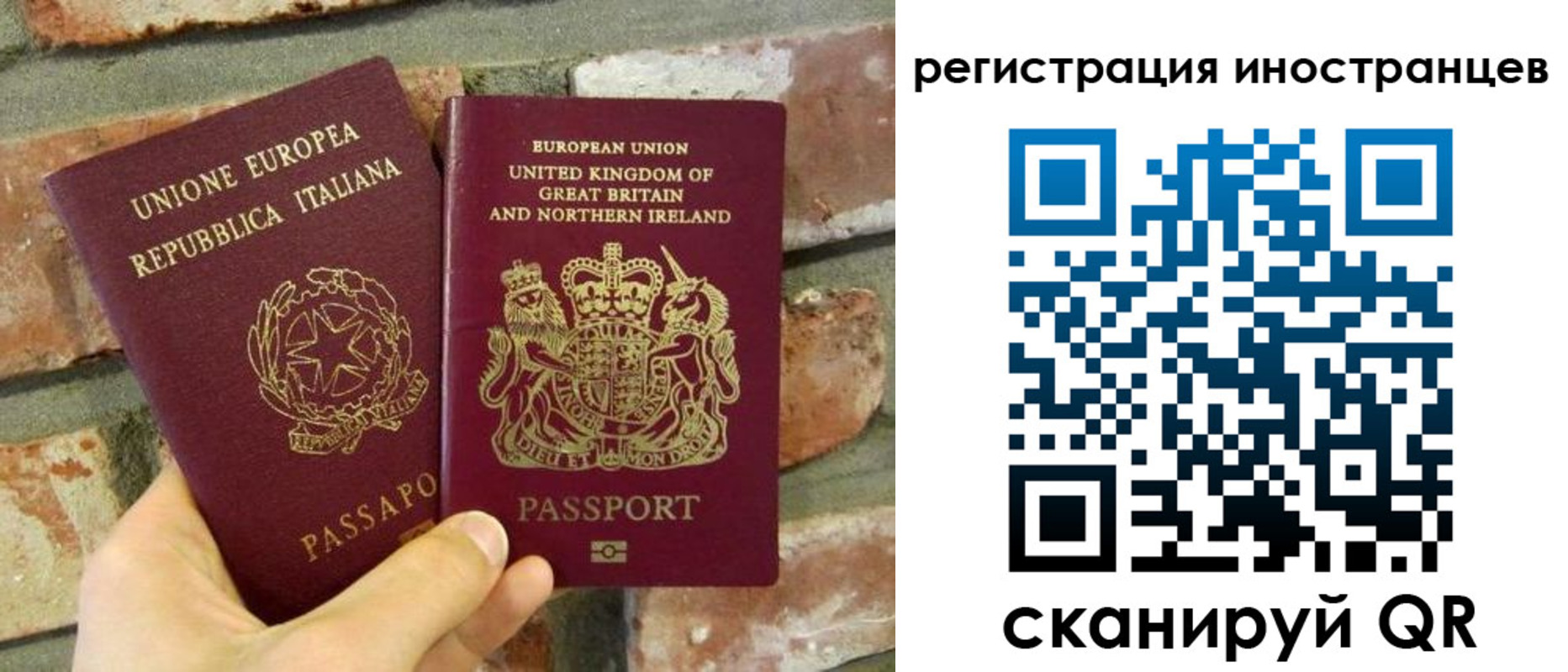 временная регистрация для школы в Ивантеевке